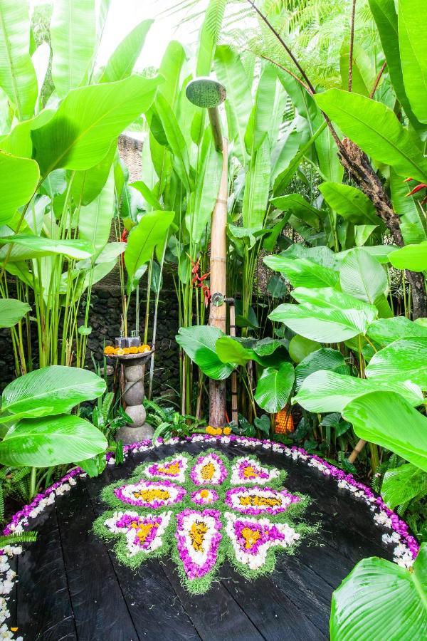 Balikayanas Bamboo House - Miggiell House Villa Karangasem  Ngoại thất bức ảnh